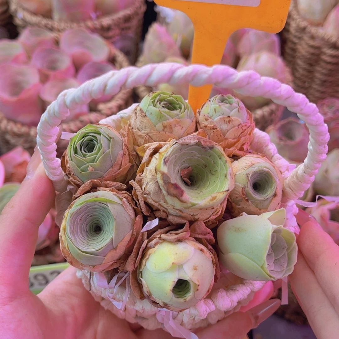 花篮一物一拍823号