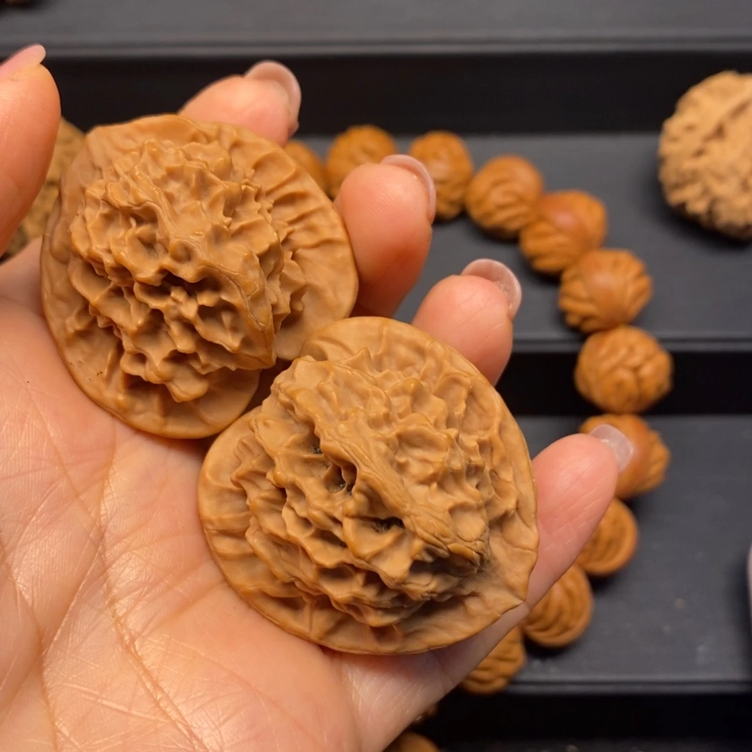 秦岭南北缘和秦岭北麓部分地带