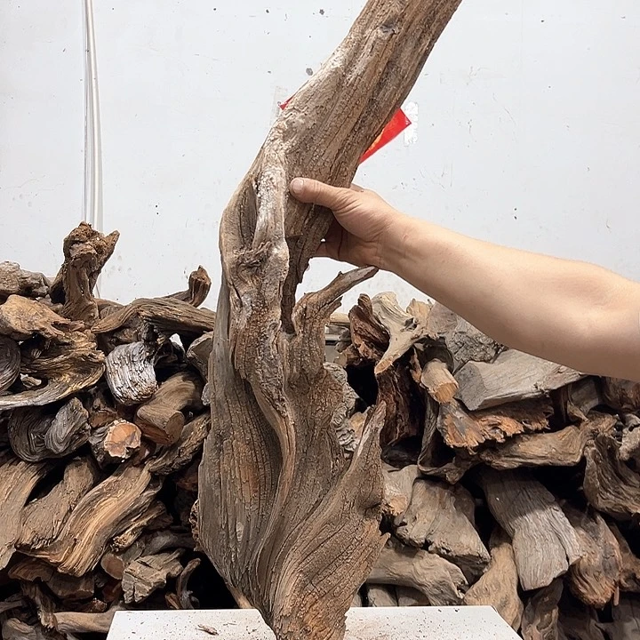 柏木不**问我们的生活也会变好吧