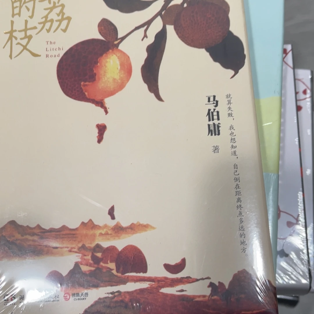 长安的荔枝精装一个