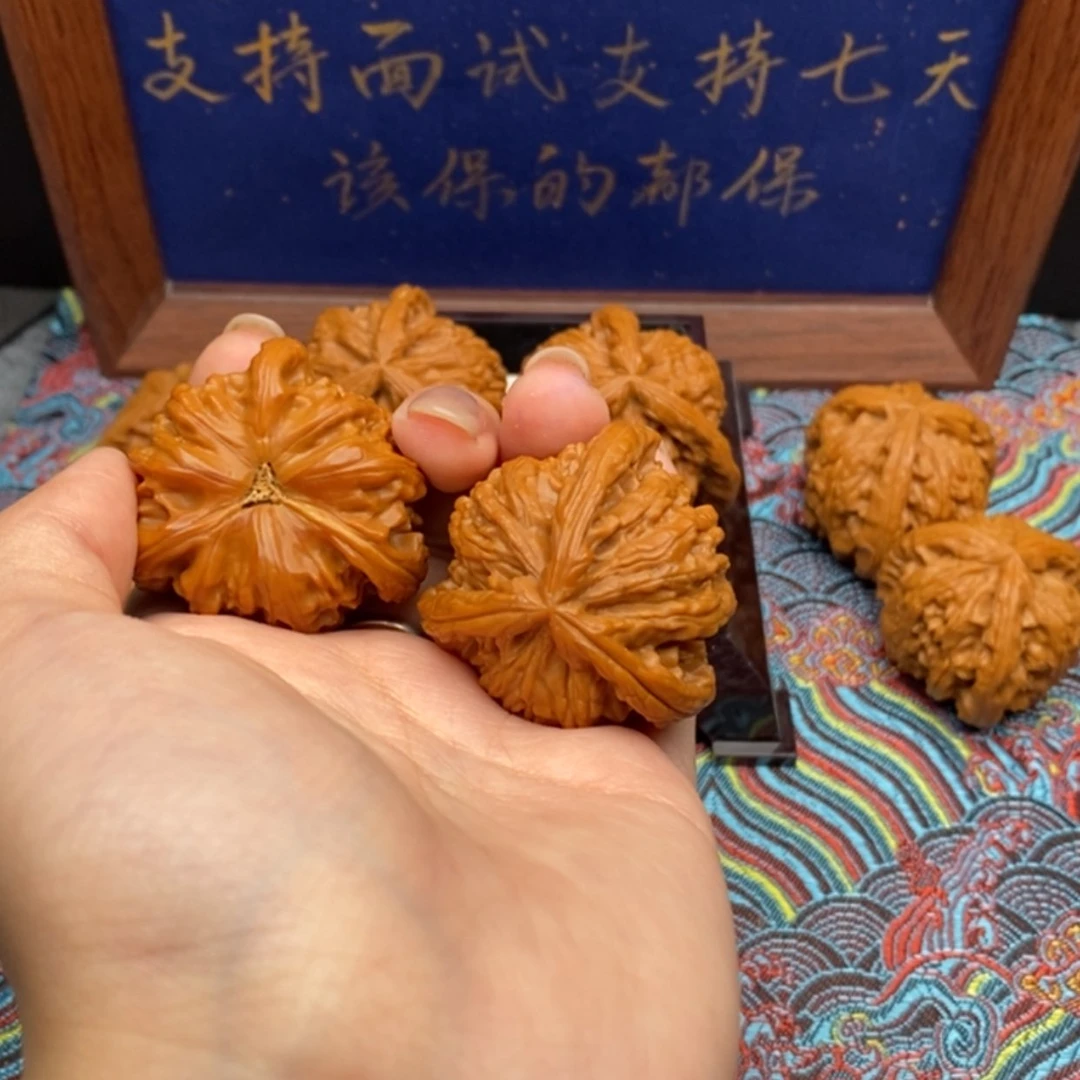 【闪购商品】-* 白狮