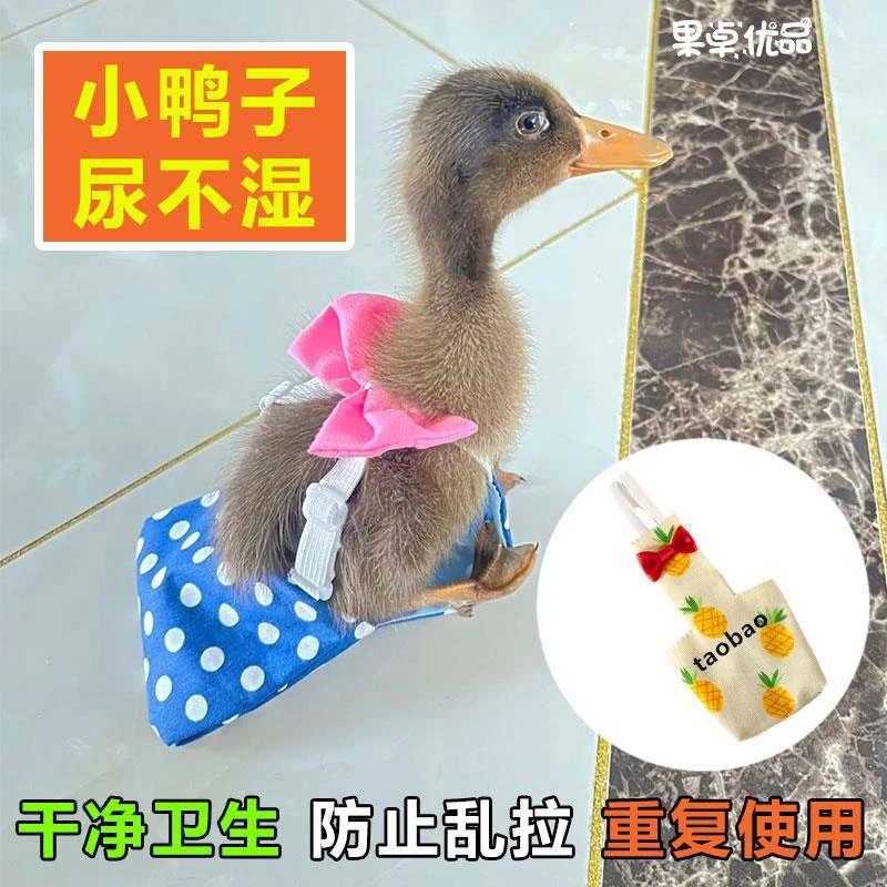 鸭屎兜柯尔鸭尿不湿鸭衣服鸡鹅背带可调节帅气尿布成年鸭屎兜屁兜