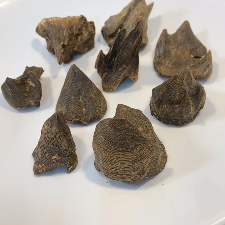 沉香碎屑沉香奇楠海南老大壳29克多样性发一