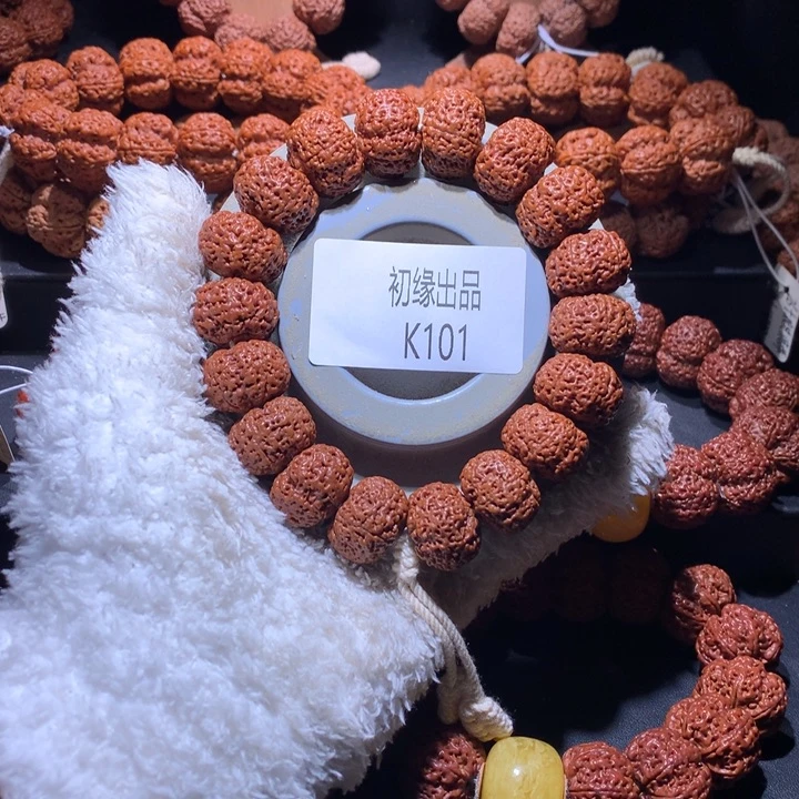 一***弟吊坠金刚菩提20尺矮桩菠萝蜜样品