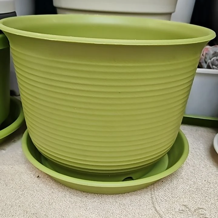 树脂仿陶瓷外口径24，拍4发5果绿，带托