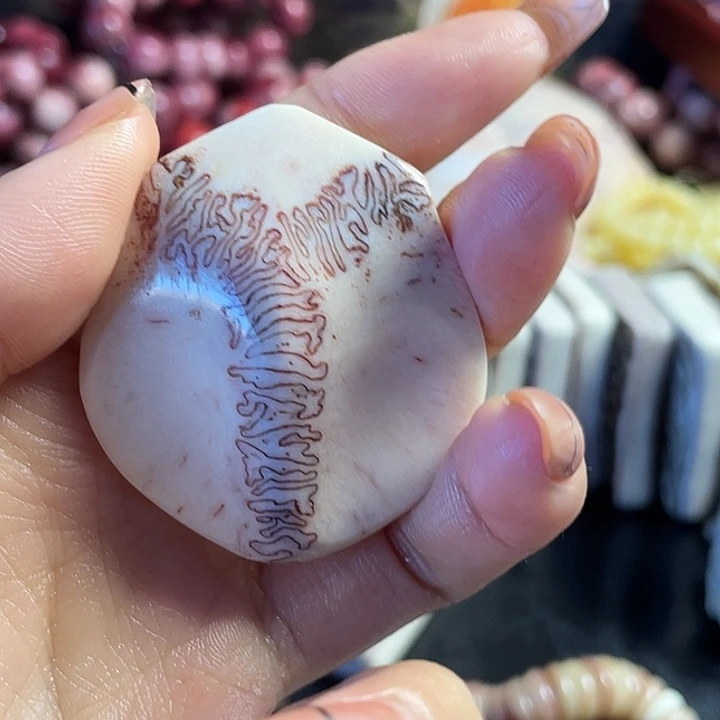 奥***开养殖鹿骨三界牌子母