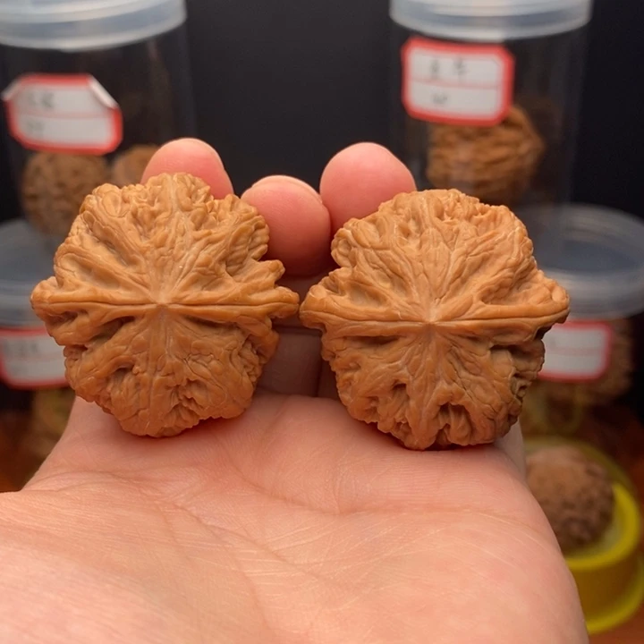 核桃麻核桃大粗筋40尺