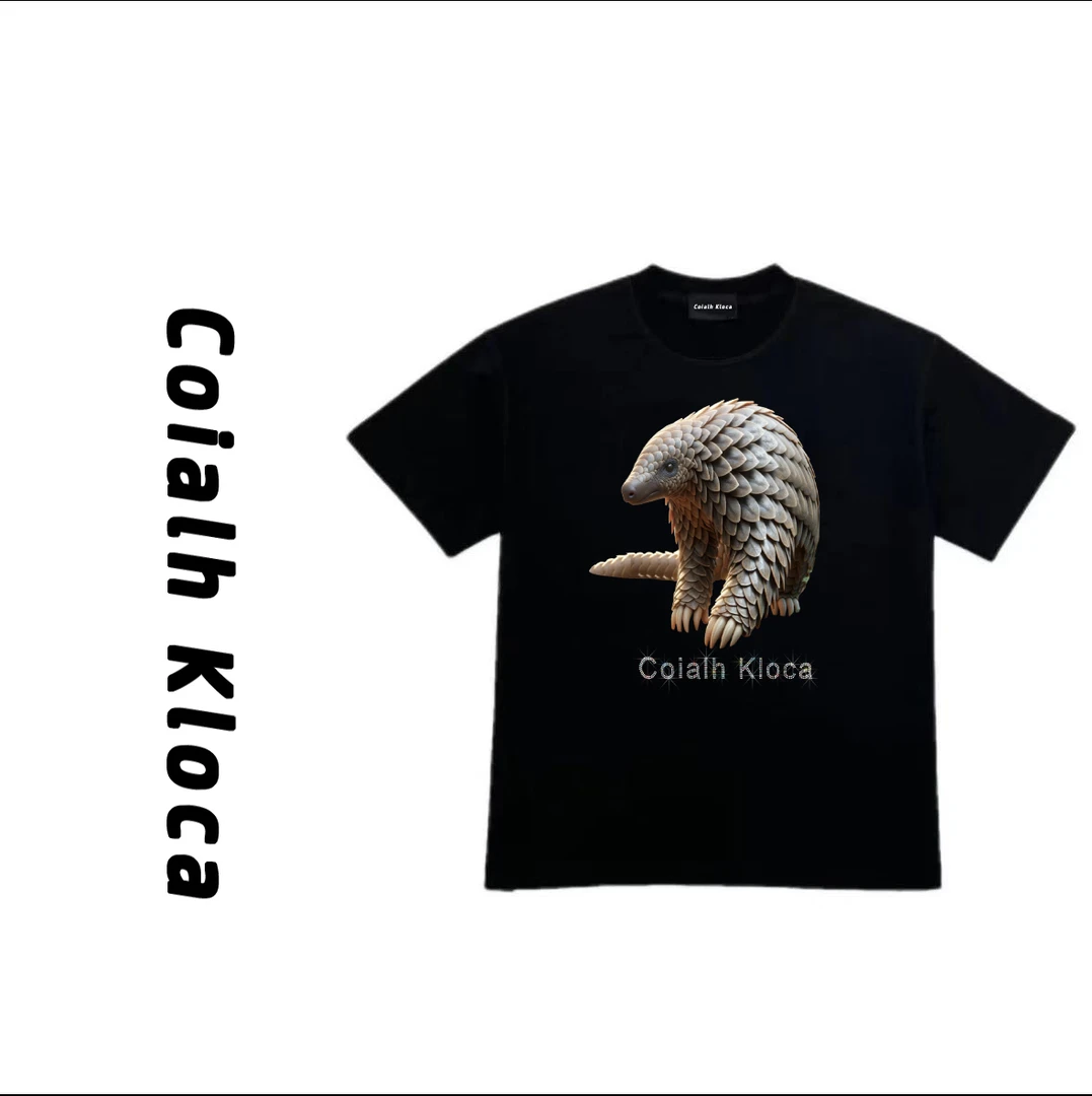 【烫钻-印花双工艺】T恤印花夏季宽松休闲t恤新款纯棉透气柔软短袖