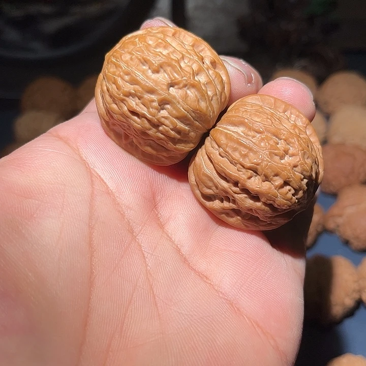 木39竞聘原桩铁锤。