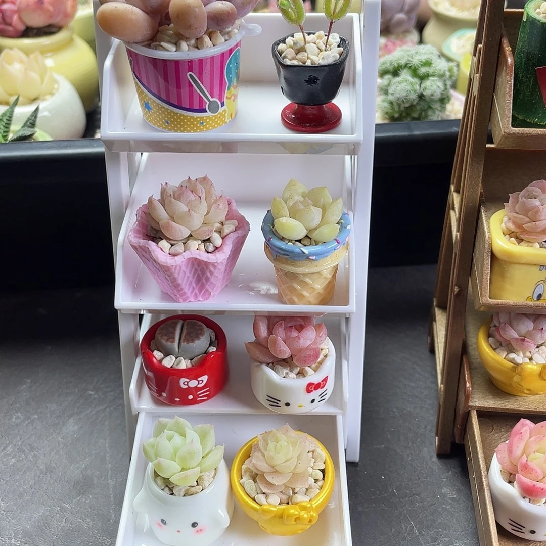 多肉植物一物一拍白色架子一号