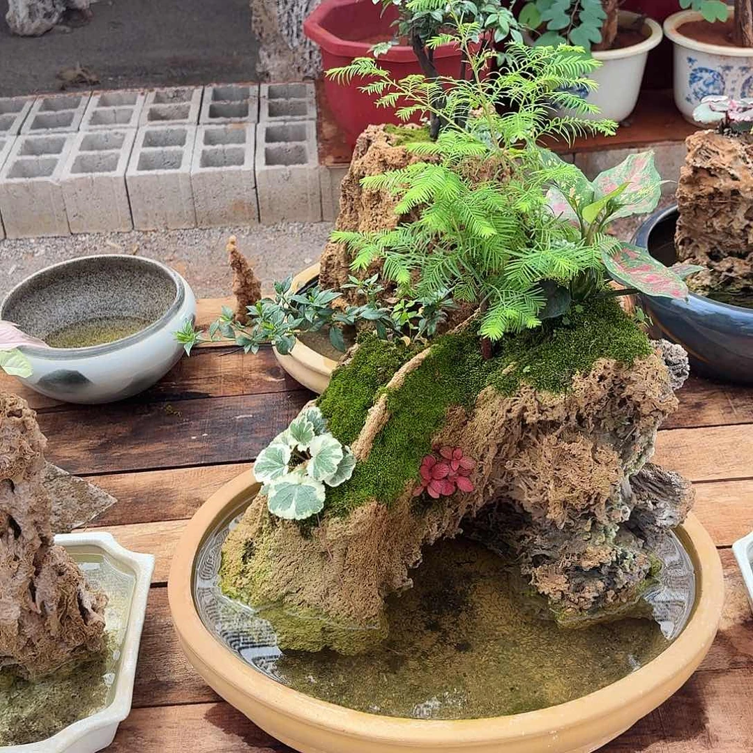 一物一拍吸水石假山