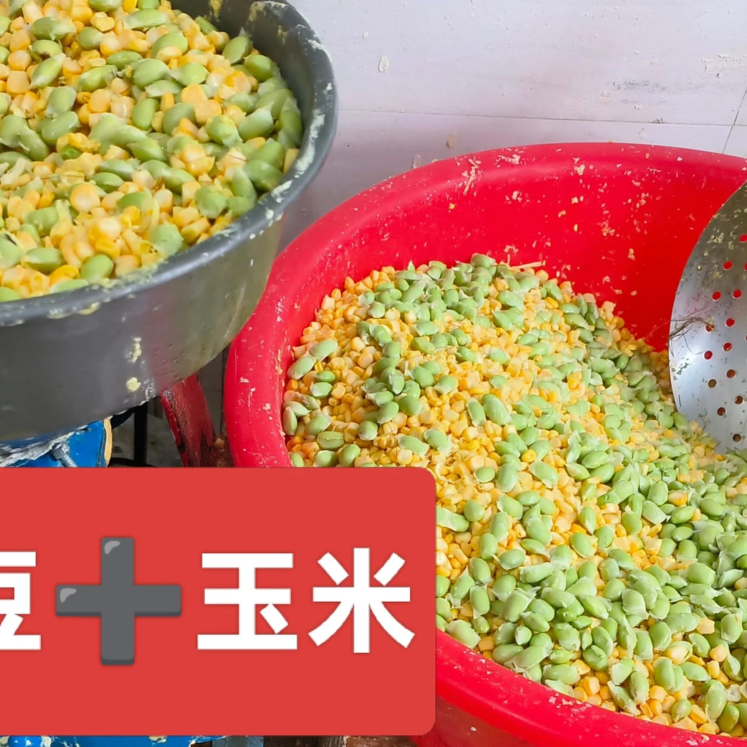 青豆玉米馍馍正宗四川特产纯手工制作粗粮粑粑成都街子特色名小吃