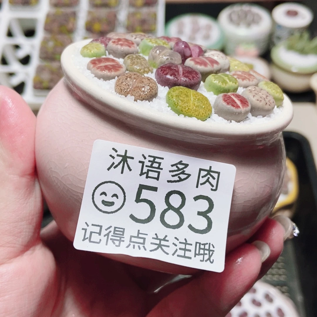 一物一拍 所见即所得583