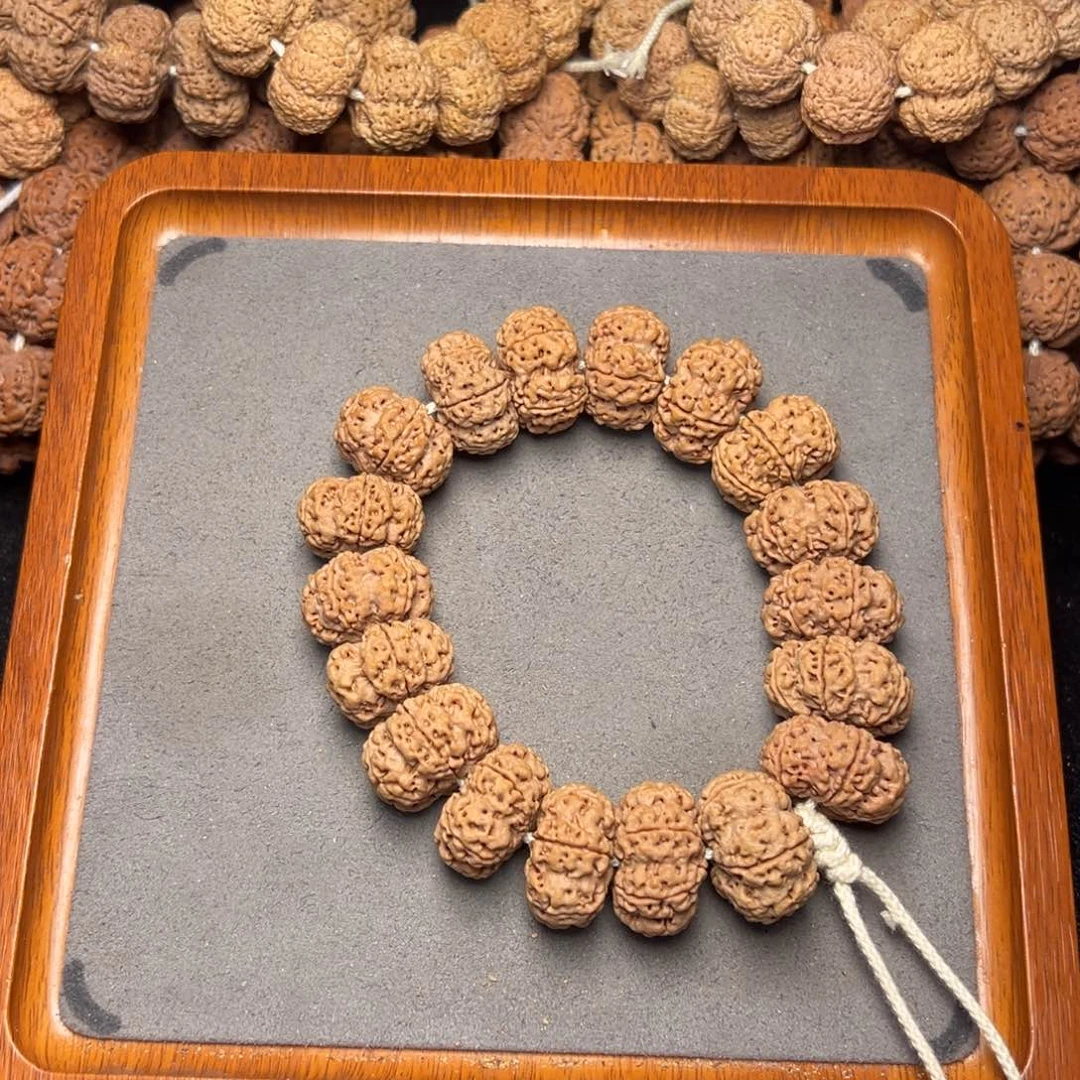 菩提7号尼泊尔大金刚六瓣24原生态梅花夹板