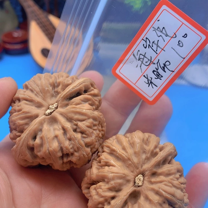 文玩核桃把件海*线粗筋