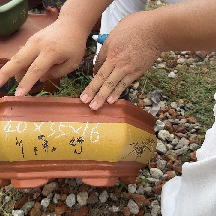 紫砂花盆紫砂花盆盆景盆