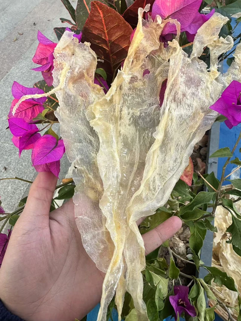 鳘鱼片开片花胶煲汤炖汤炖牛奶花胶奶冻 250克/500克