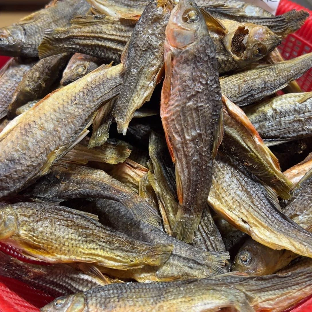 中国大陆中大红腹石斑鱼干1斤装