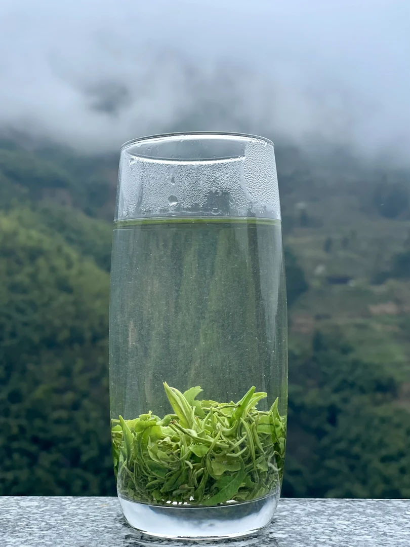 月光露(散装）精品高山老树绿茶冲泡产品