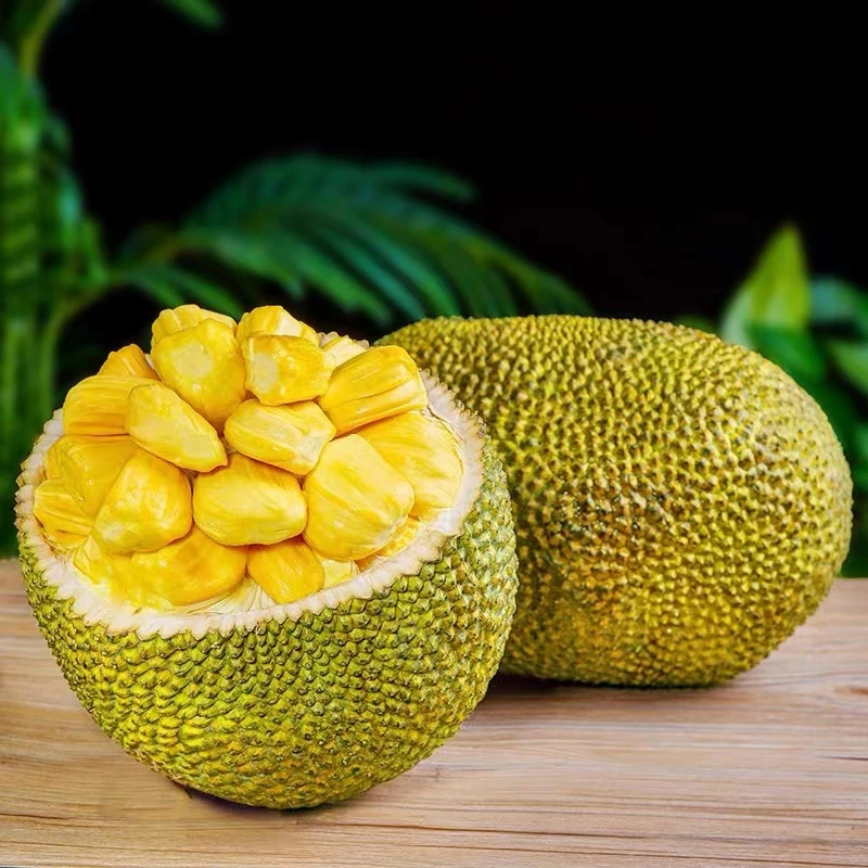 【顺丰包邮生切不售后】18-22斤海南老树菠萝密一整个当季现摘现发