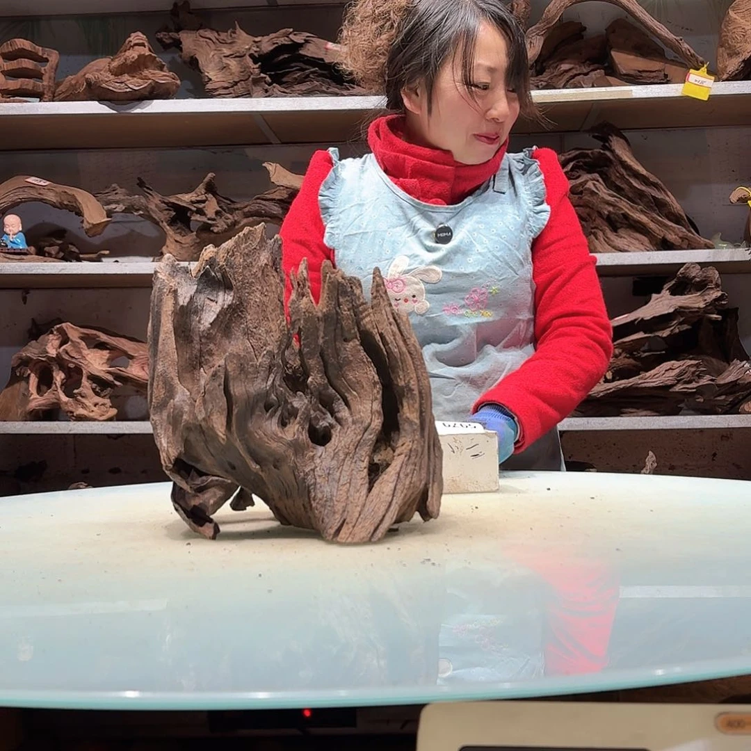 倍褚沉木不包损必褪色G****.5968