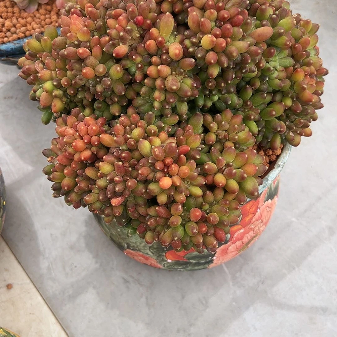 千代田缀111111111111