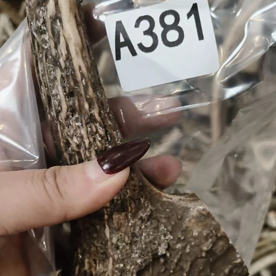 <***>鹿角鹿角鹿角鹿角鹿角