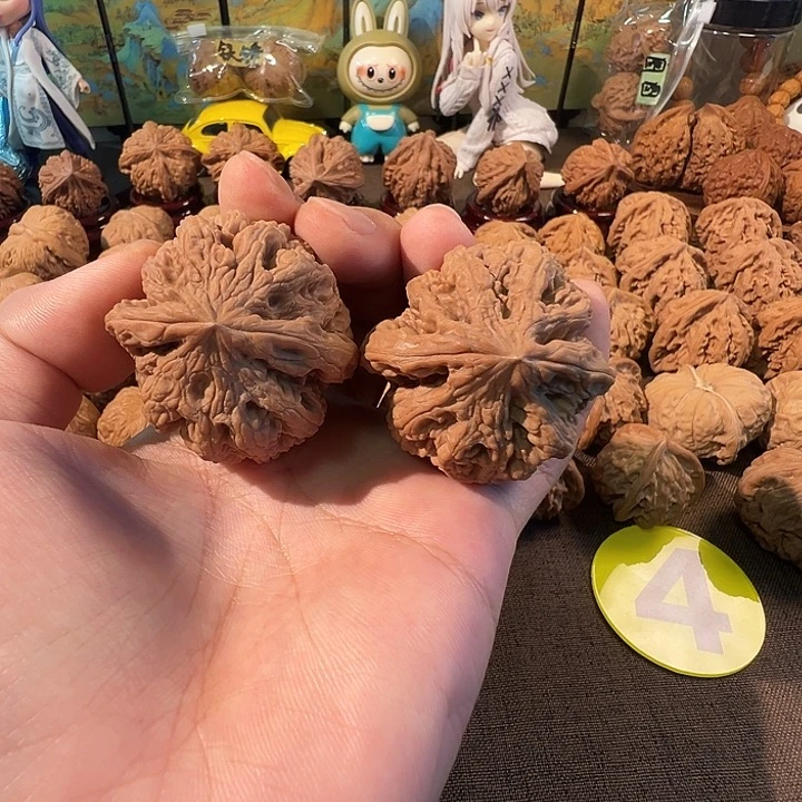 核桃44+大粗筋新果无修对