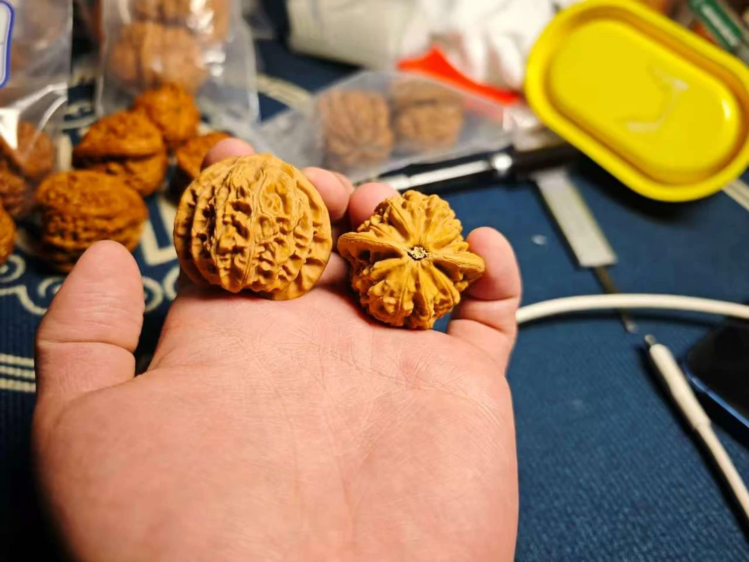 全品磐石！！！！！！