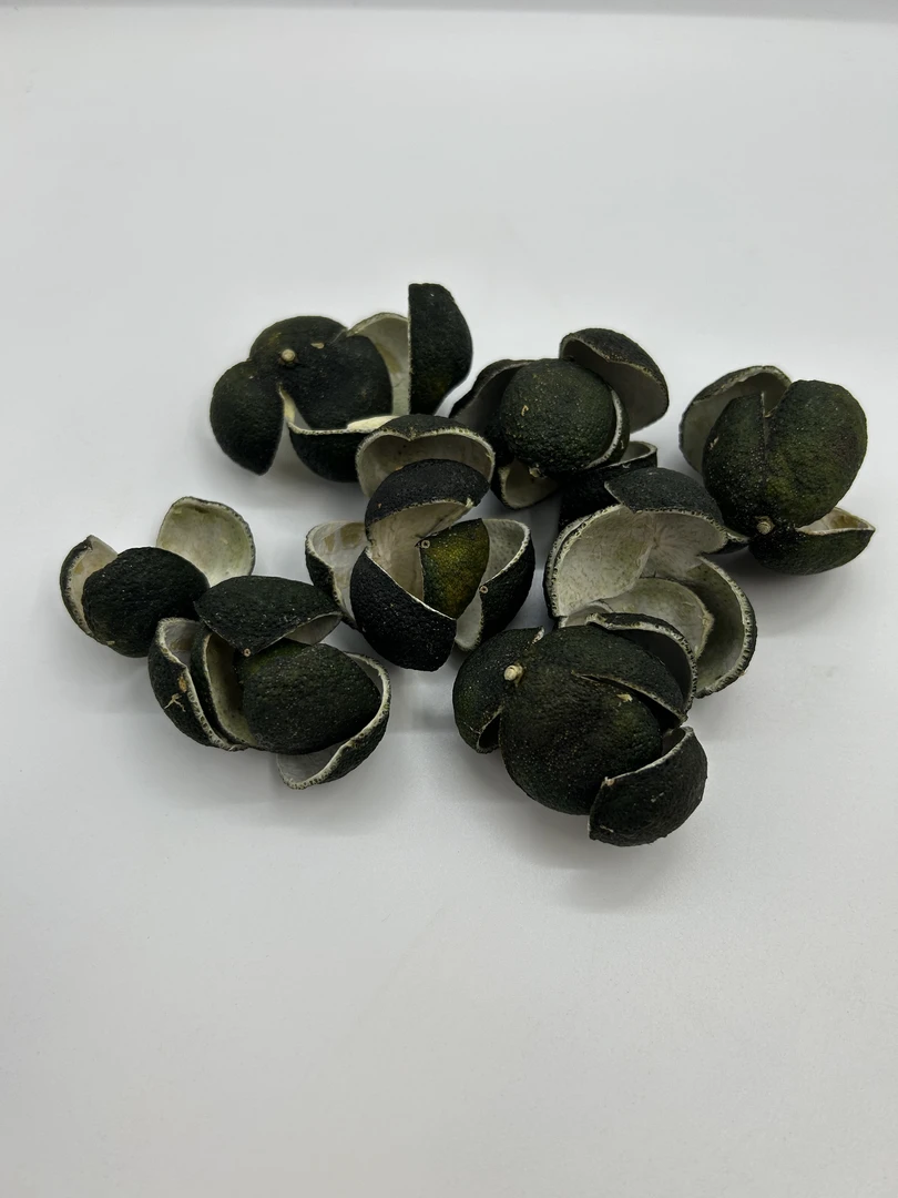 2025年东甲小青，中青皮自然生晒干仓储存，看家护院陈皮