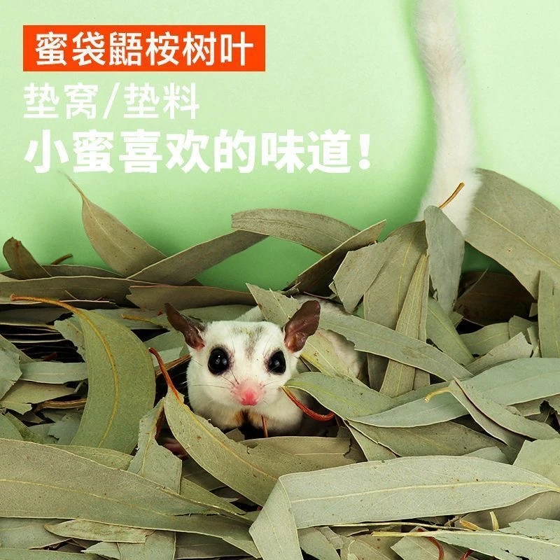 蜜袋鼯飞鼠专用桉树叶除臭去味驱虫垫料