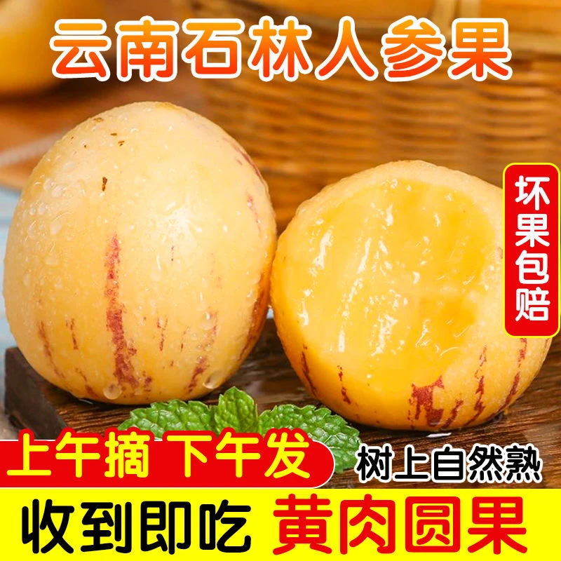 【现采现发】云南石林人参果低糖水果圆果新鲜大果黄心黄果圆形