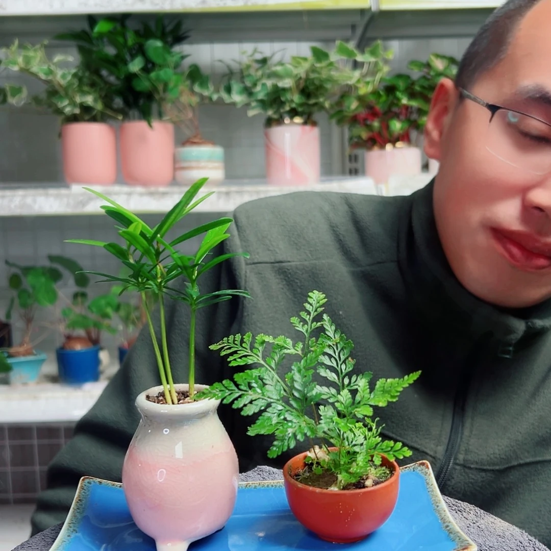 有***常无花朵53