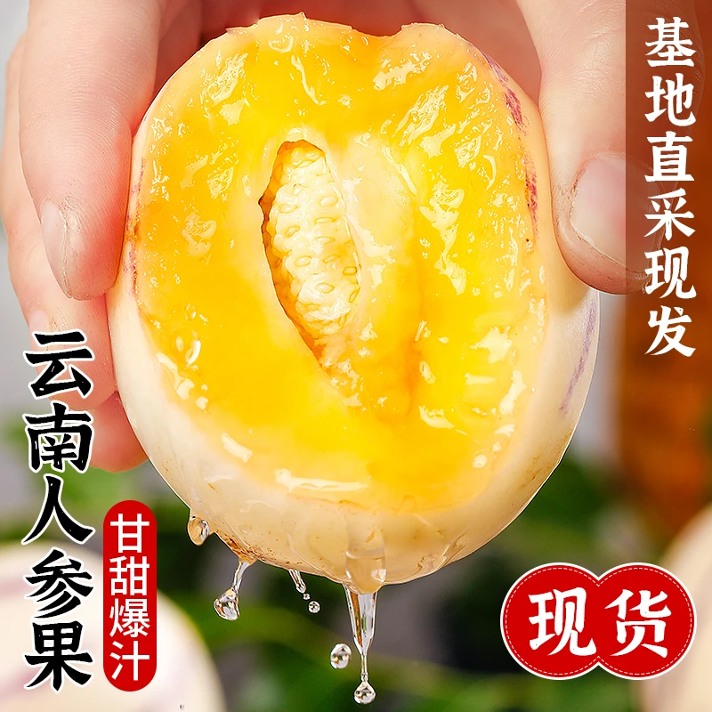 云南石林树上熟果黄肉圆果清甜多汁新鲜水果 ys-d