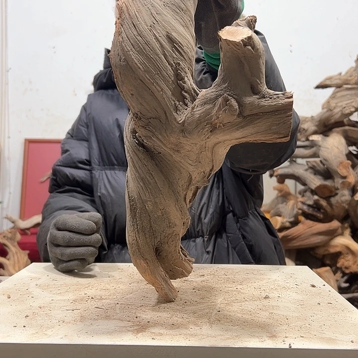 柏木燃**桥我们的生活也