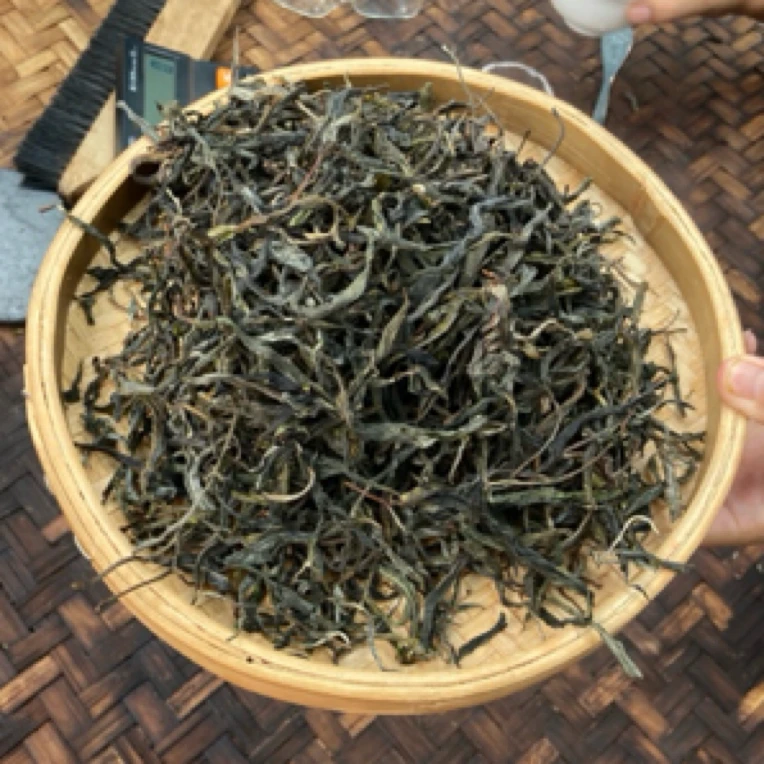 *2025年【冰岛地界46号·大树·春】晒青茶【生散茶】-6月7日【04】