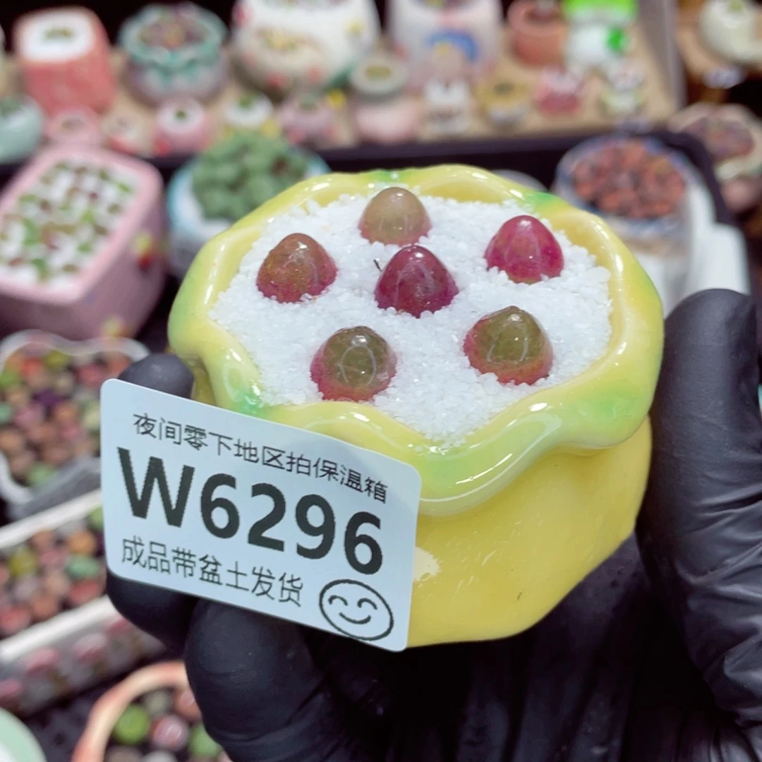 夜间零下地区拍保温箱w6296