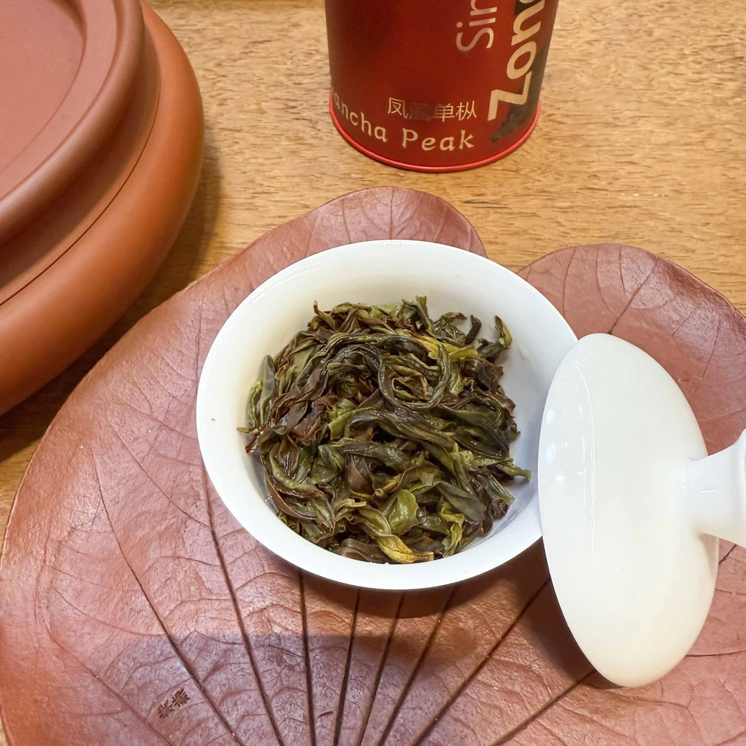 甘茶峰&莫凡轩【乌岽蛤蛄捞】潮州凤凰单丛单枞 罐装春季50g
