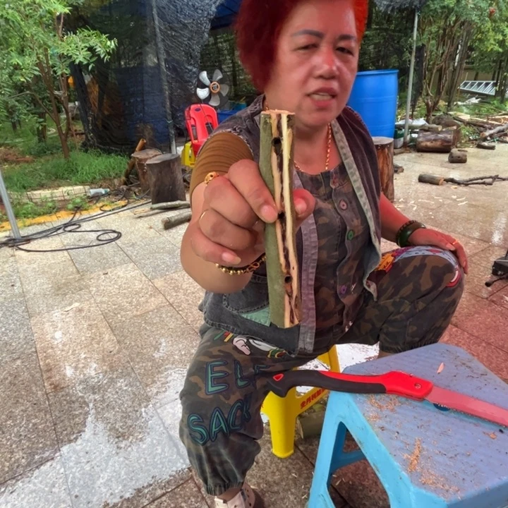 线香奇楠沉香原木段