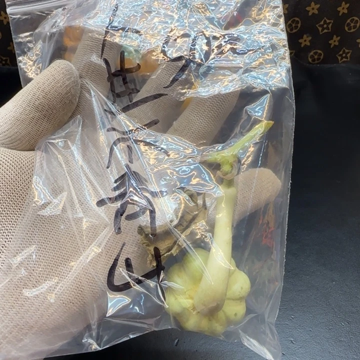 人***山哈哈哈哈哈哈哈哈哈哈哈哈哈哈