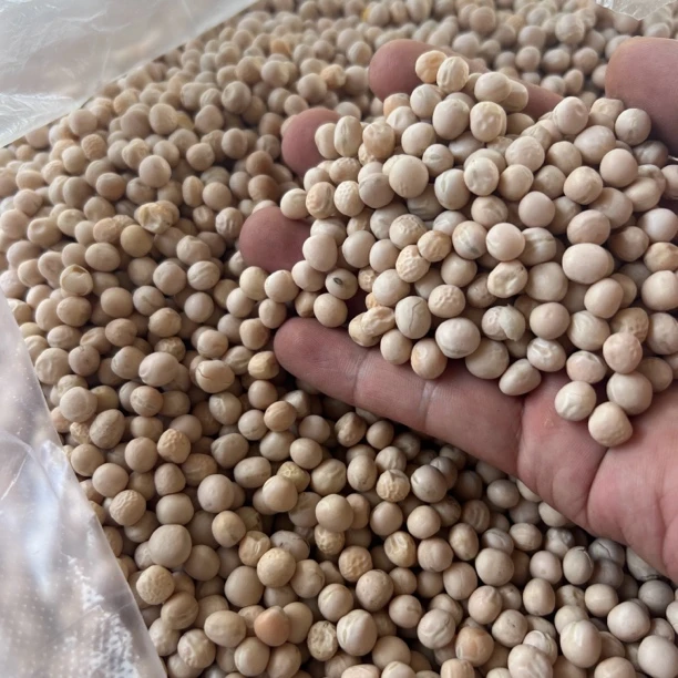 农家自种豌豆煮汤油炸