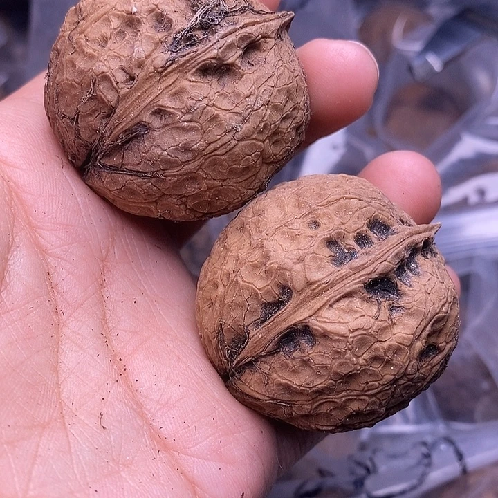 文玩核桃把件  42