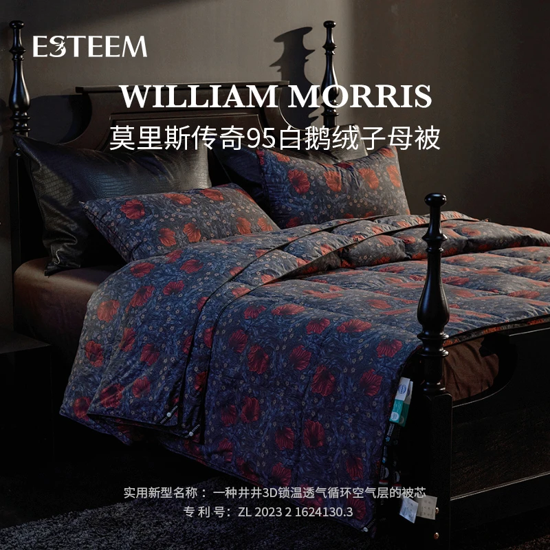 ESTEEM/宜庭莫里斯传奇可水洗鹅绒被两件套