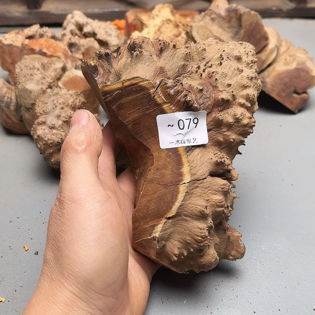 用***9无花朵000000000079