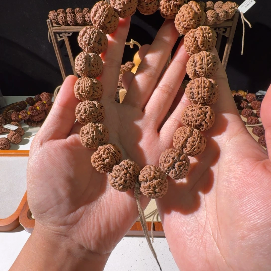 手串金刚菩提22尺寸蜂王手持