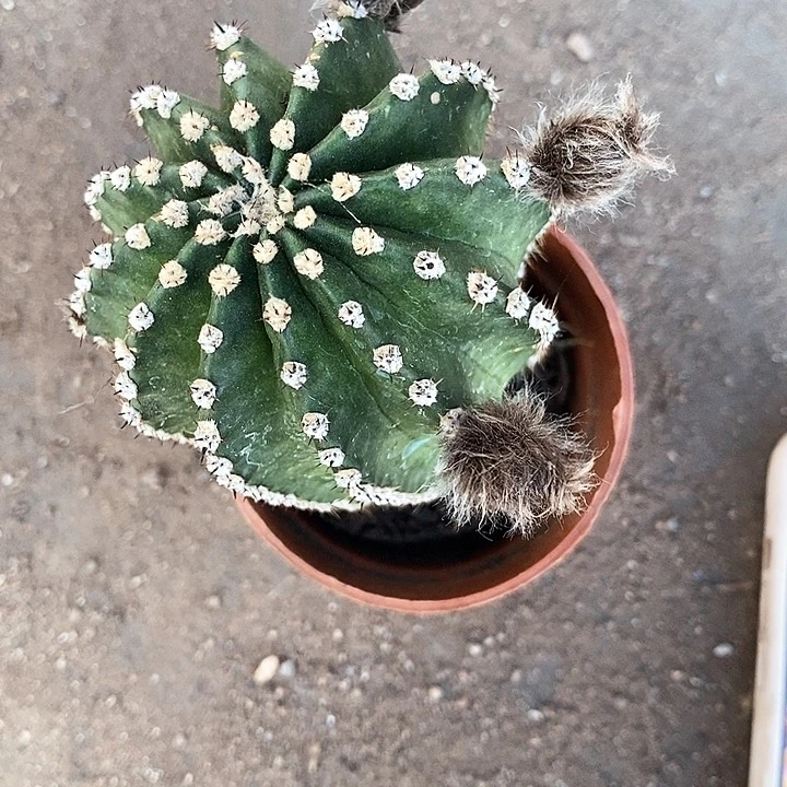 激流清仓瑕疵357899