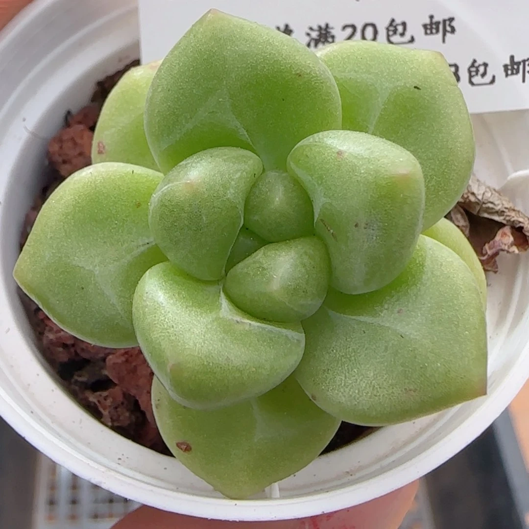 0616-235福利福利