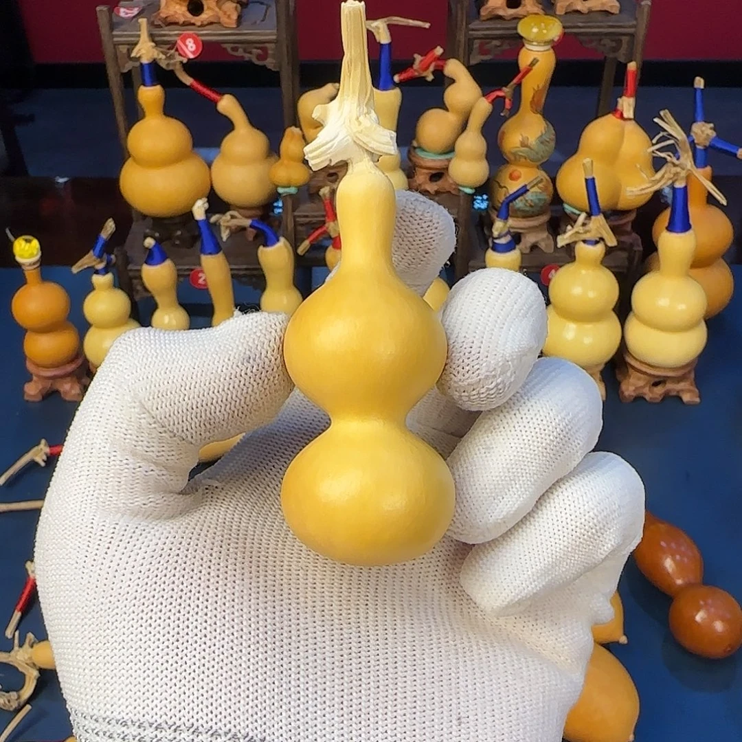 葫芦1号极品双扁五五肚