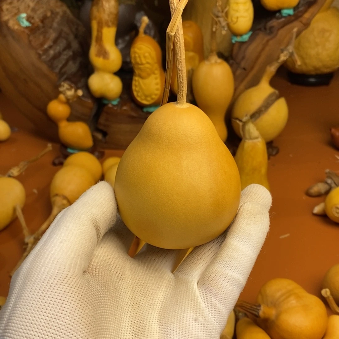 辉***哥教练咯教练教练咯