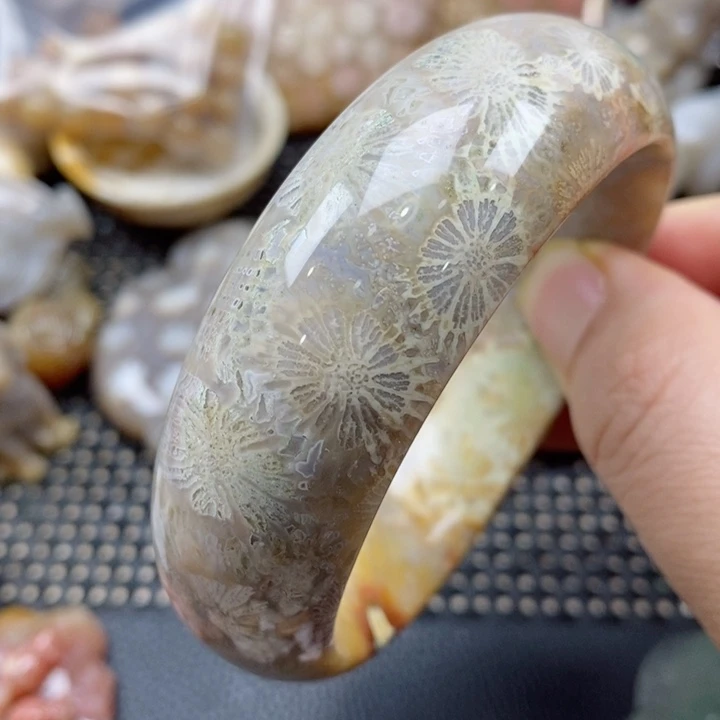 硅化珊瑚（珊瑚玉）颈饰未镶嵌特价有瑕